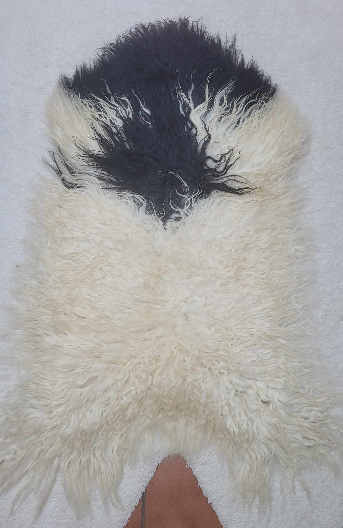 Ethically sourced curly Icelandic sheepskin rug for Hygge and mountain decor