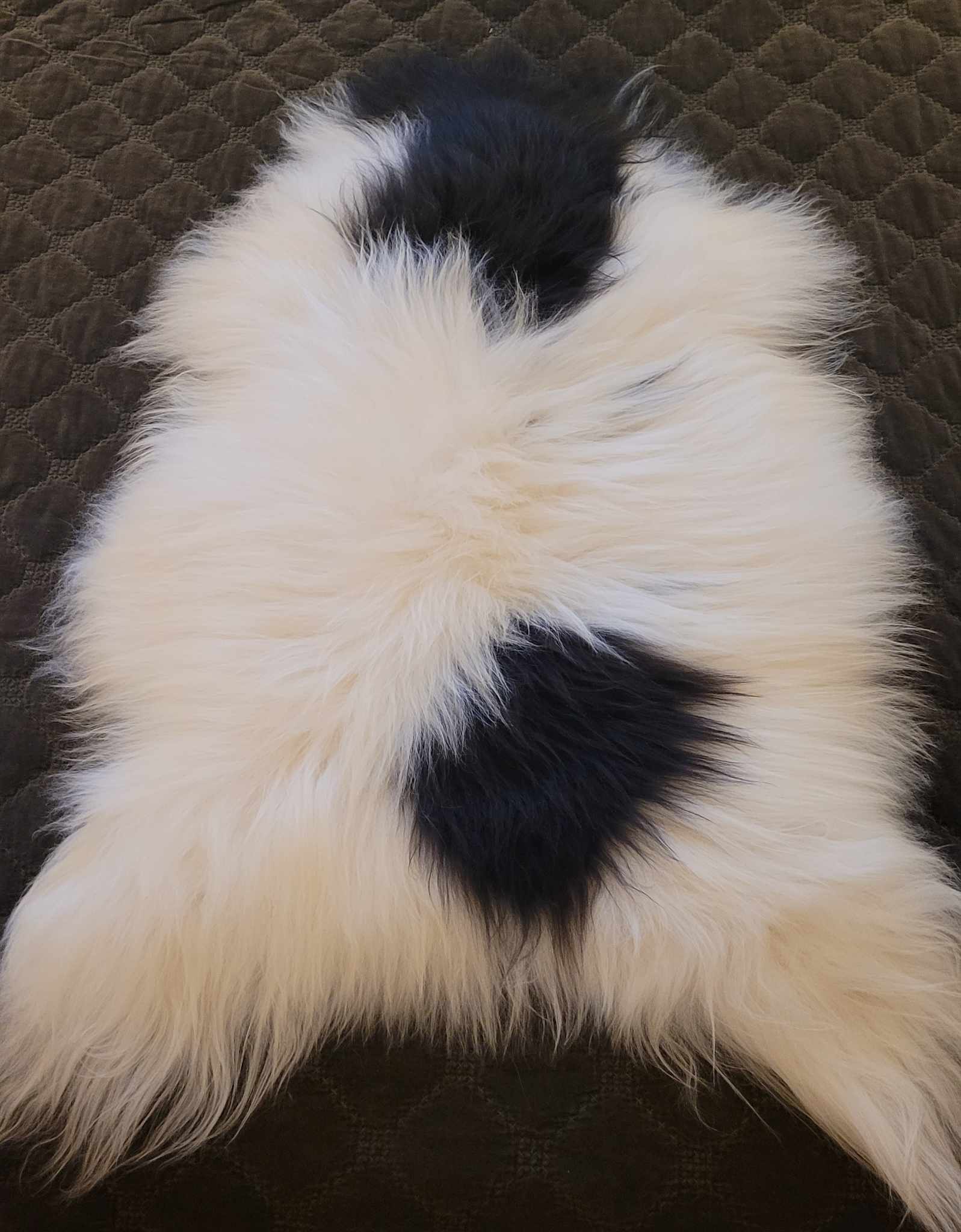 natural Icelandic sheepskin rug