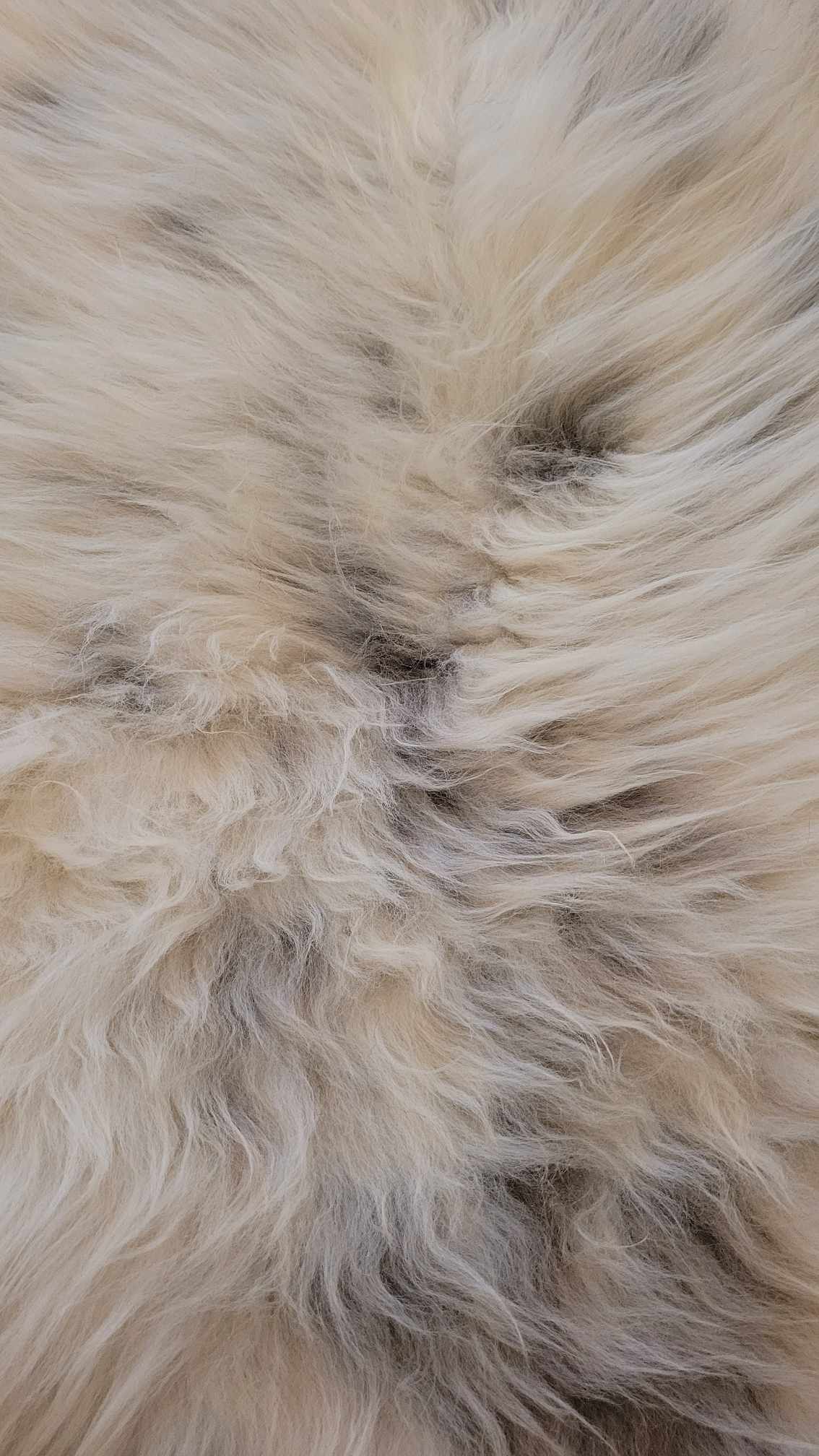 Ethically sourced grey and white soft sheepskin rug for Hygge and mountain decor